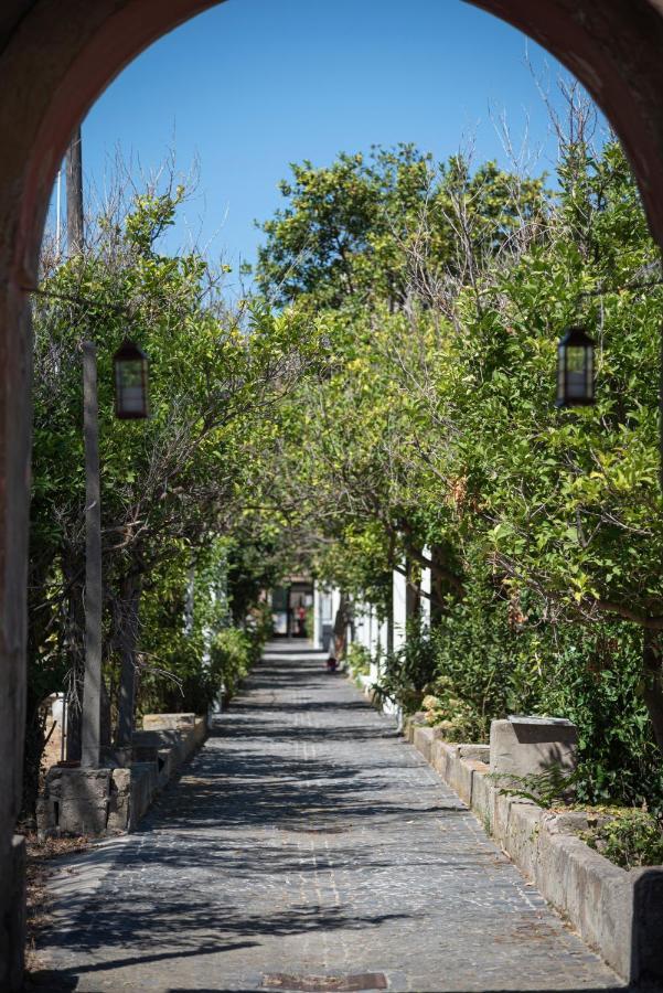 Controvento In Villa Eldorado Procida Eksteriør billede